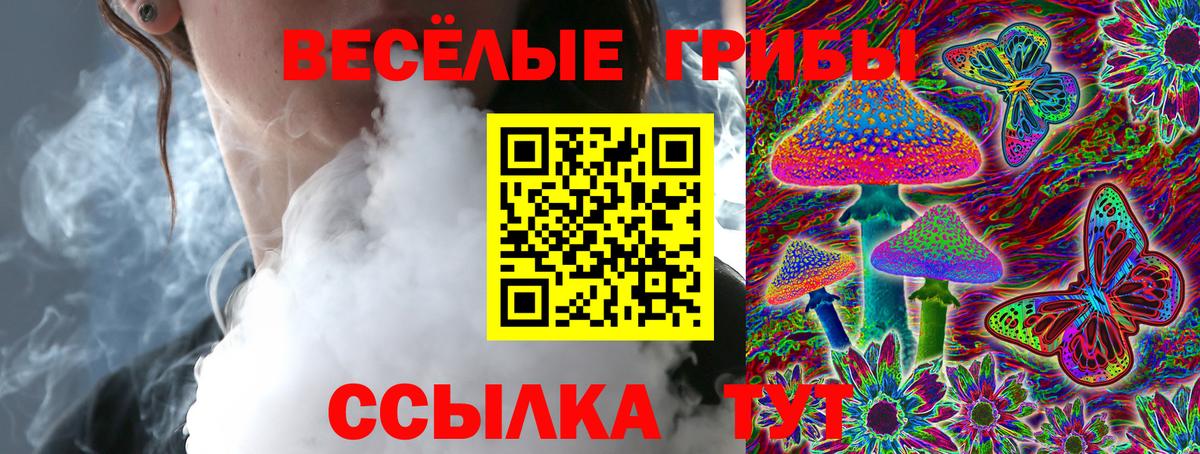 Псилоцибиновые грибы прущие грибы Ликино-Дулёво