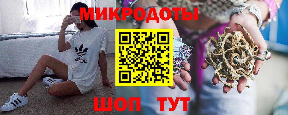 Галлюциногенные грибы Psilocybine cubensis  Вход с VPN  Ликино-Дулёво 